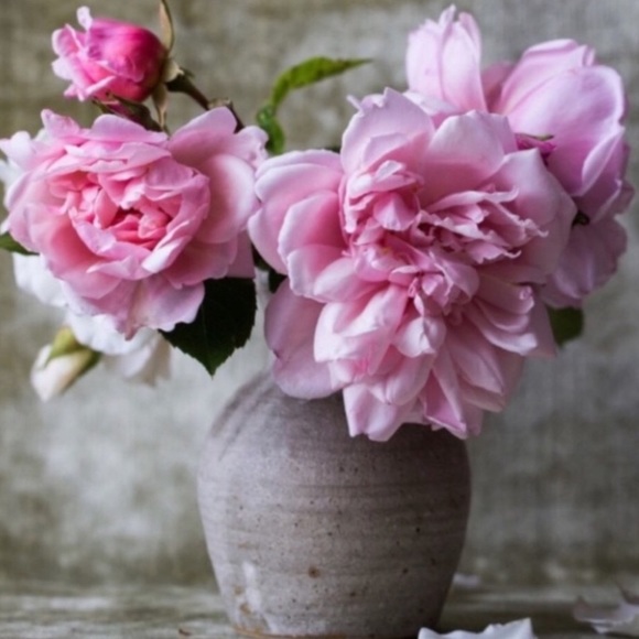 โจ CARPEDIEM1430 โจ - Picture 6 of 14